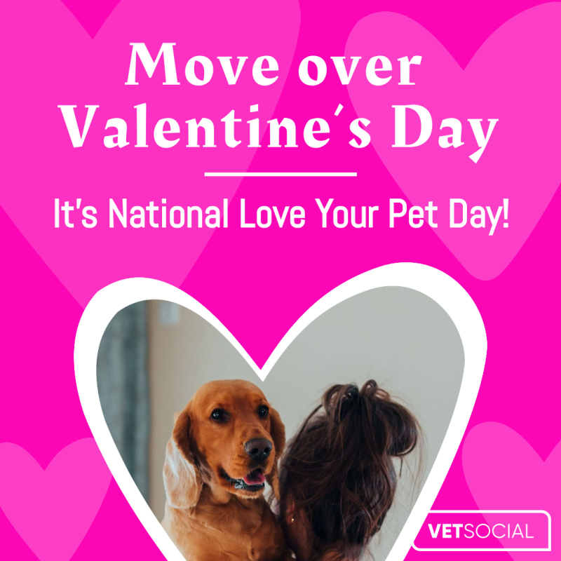 National love 2024 your dog day